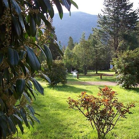 Cabanas Auquin Lemu Lago Puelo Eksteriør billede