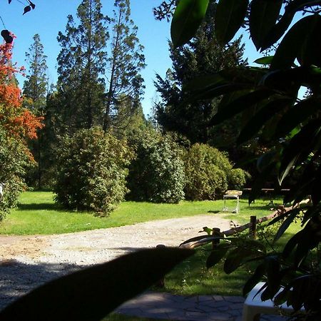 Cabanas Auquin Lemu Lago Puelo Eksteriør billede