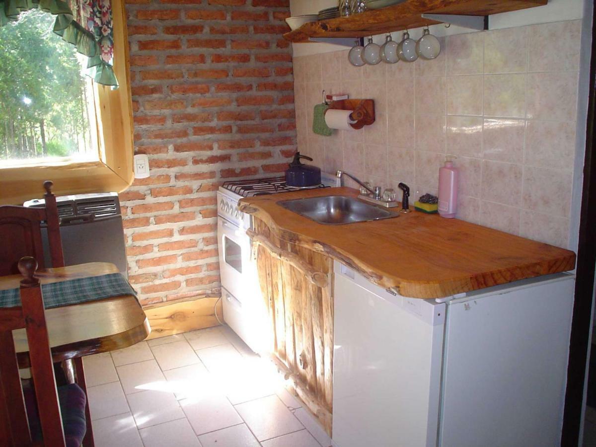 Cabanas Auquin Lemu Lago Puelo Eksteriør billede